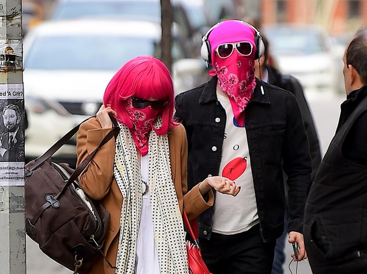 テイラー・スウィフト＆ジョー・アルウィン？「林家ペー・パー子」風の変装がやばい