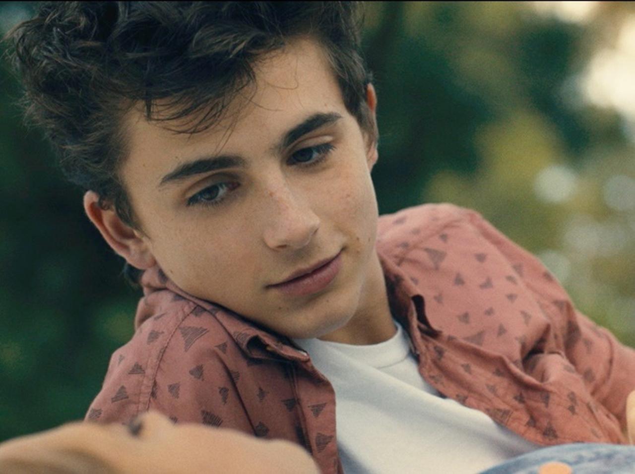 ティモシー・シャラメ、この夏必見の青春映画『ホット・サマー・ナイツ』で“危険な誘惑”にのめり込む…