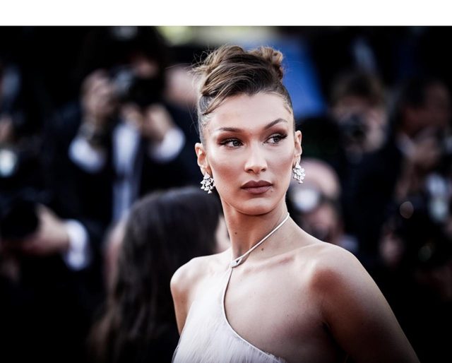 ベラ・ハディッド、元フランス大統領の妻と二度見するほどそっくり