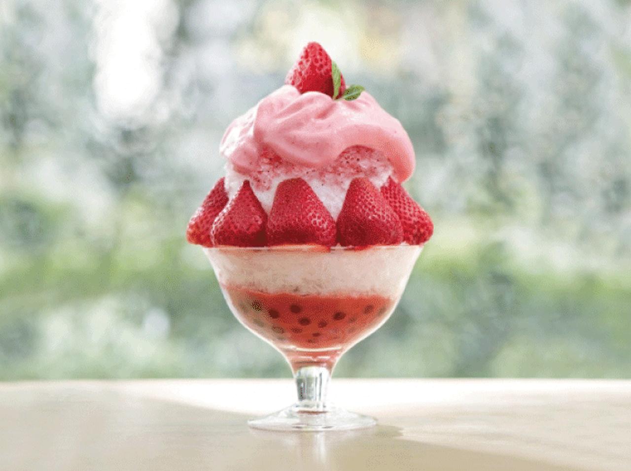 ふわっとタピオカかき氷、今年もスタート！