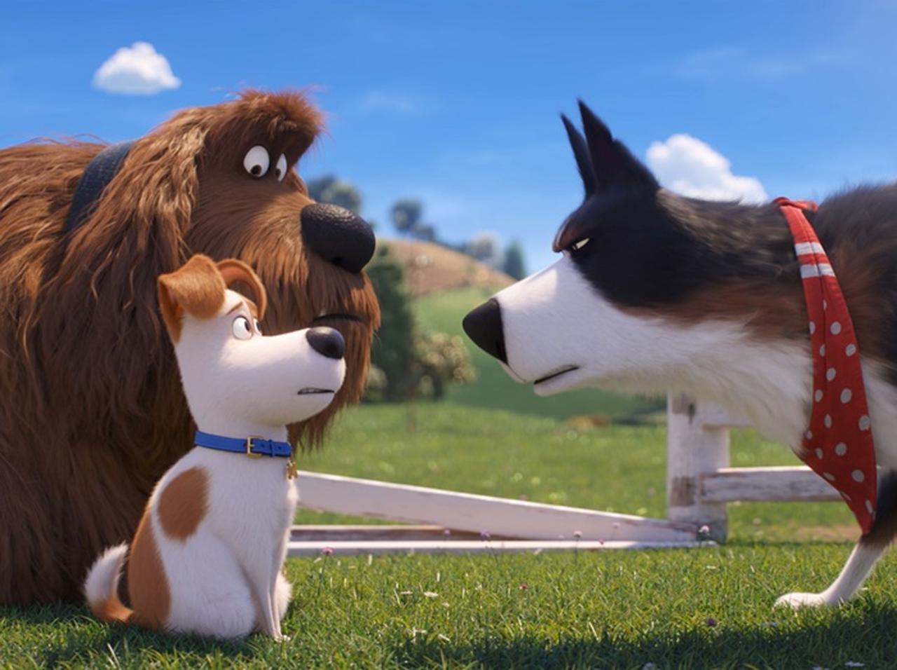 映画『ペット2』がひと足早く見られる!一般試写会に「5組10名様」をご招待【プレゼント】