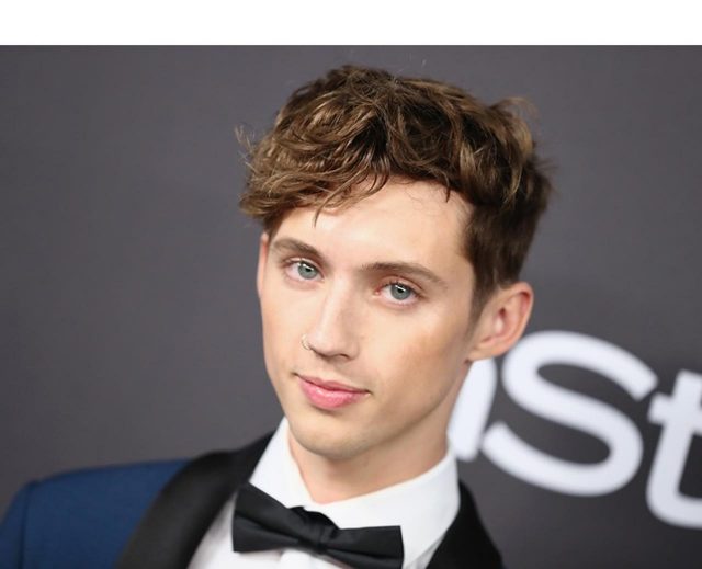 人気シンガー、トロイ・シヴァンの美しすぎる顔に圧倒される