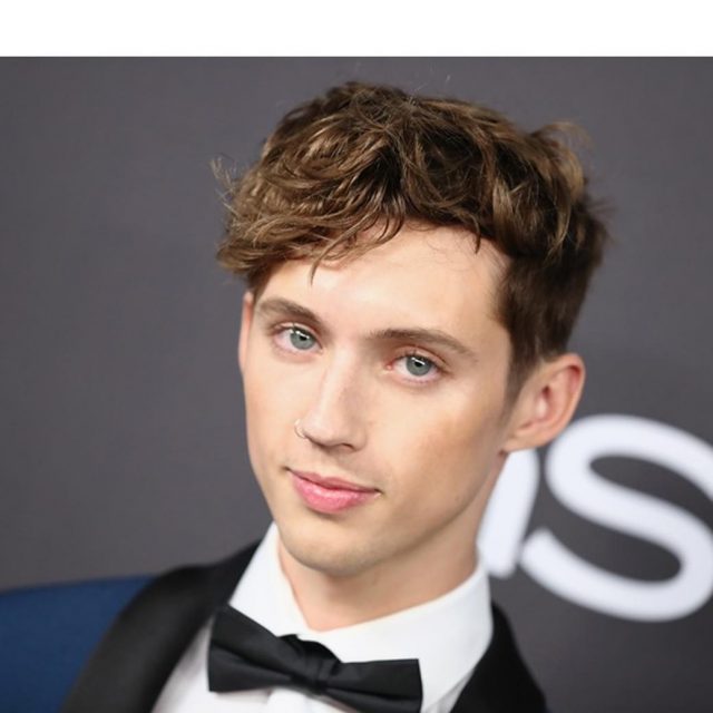 人気シンガー、トロイ・シヴァンの美しすぎる顔に圧倒される
