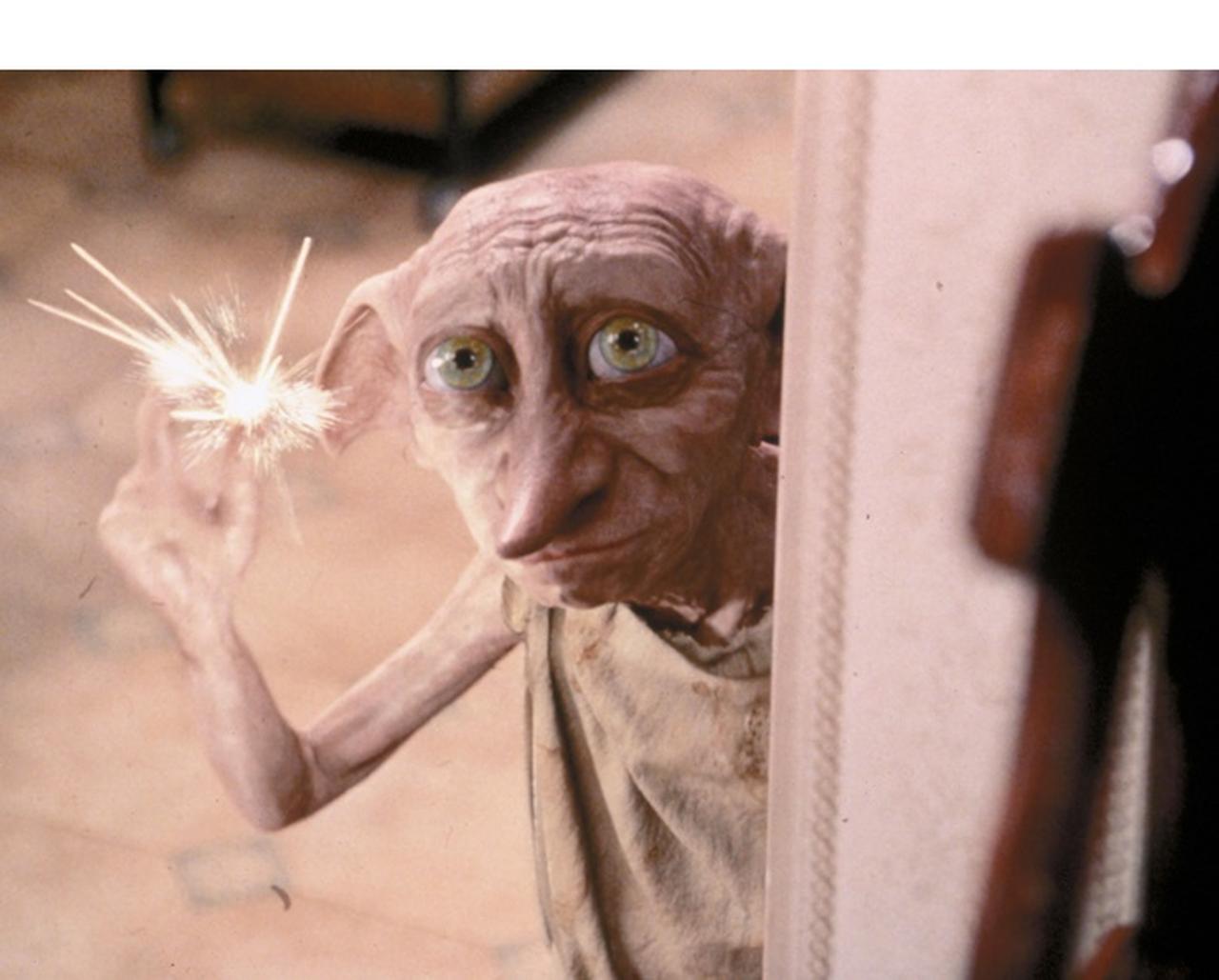 『ハリー・ポッター』のドビーにそっくりな謎の生物が映像に収められる