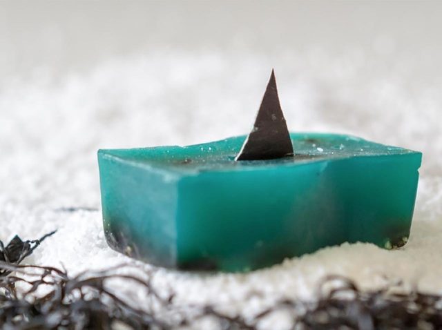 ラッシュ、サメがモチーフの「シャーク・ソープ」が“エコ可愛い”【世界海洋デー】