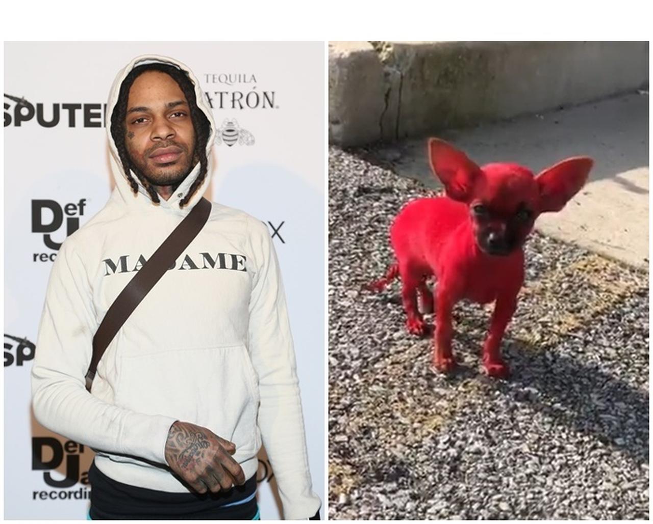 愛犬を真っ赤に染め上げた注目ラッパーが大炎上
