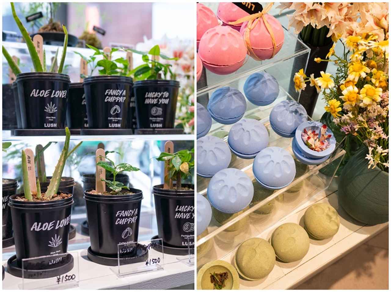 LUSH新宿店で販売されている「１％」の花って？