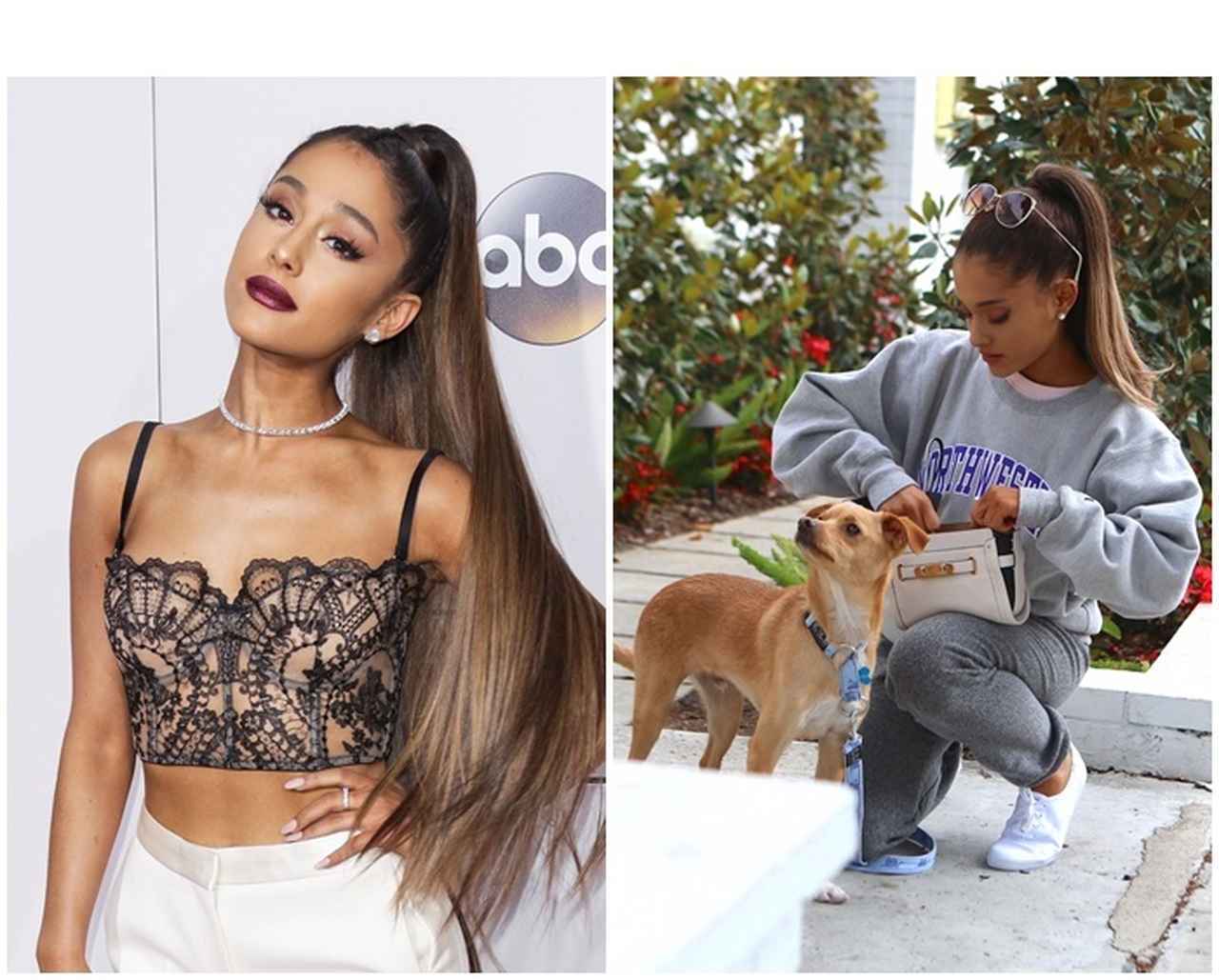 アリアナ・グランデ、ファンからの愛犬トゥールーズいじりに反応