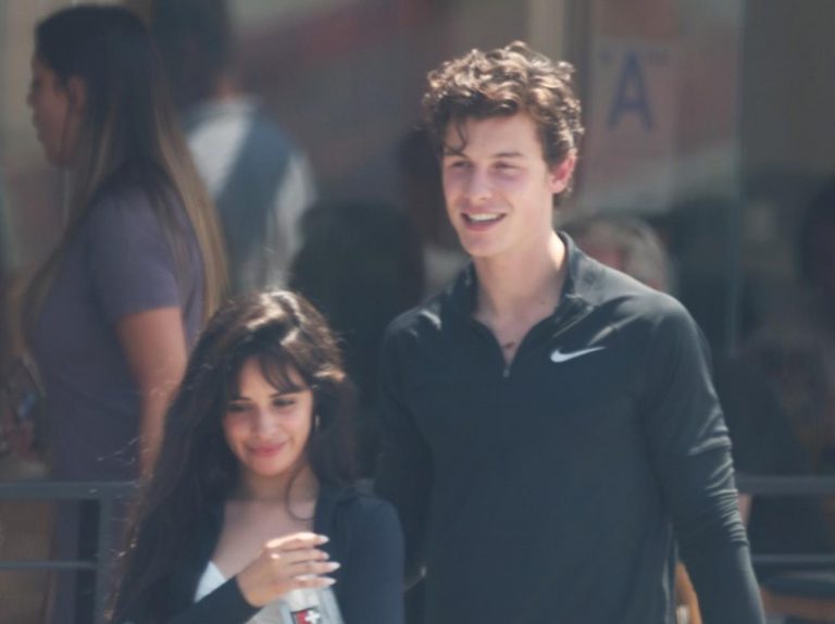 ショーン・メンデス、ファンが「カミラ・カベロとの関係」について直接聞いた結果