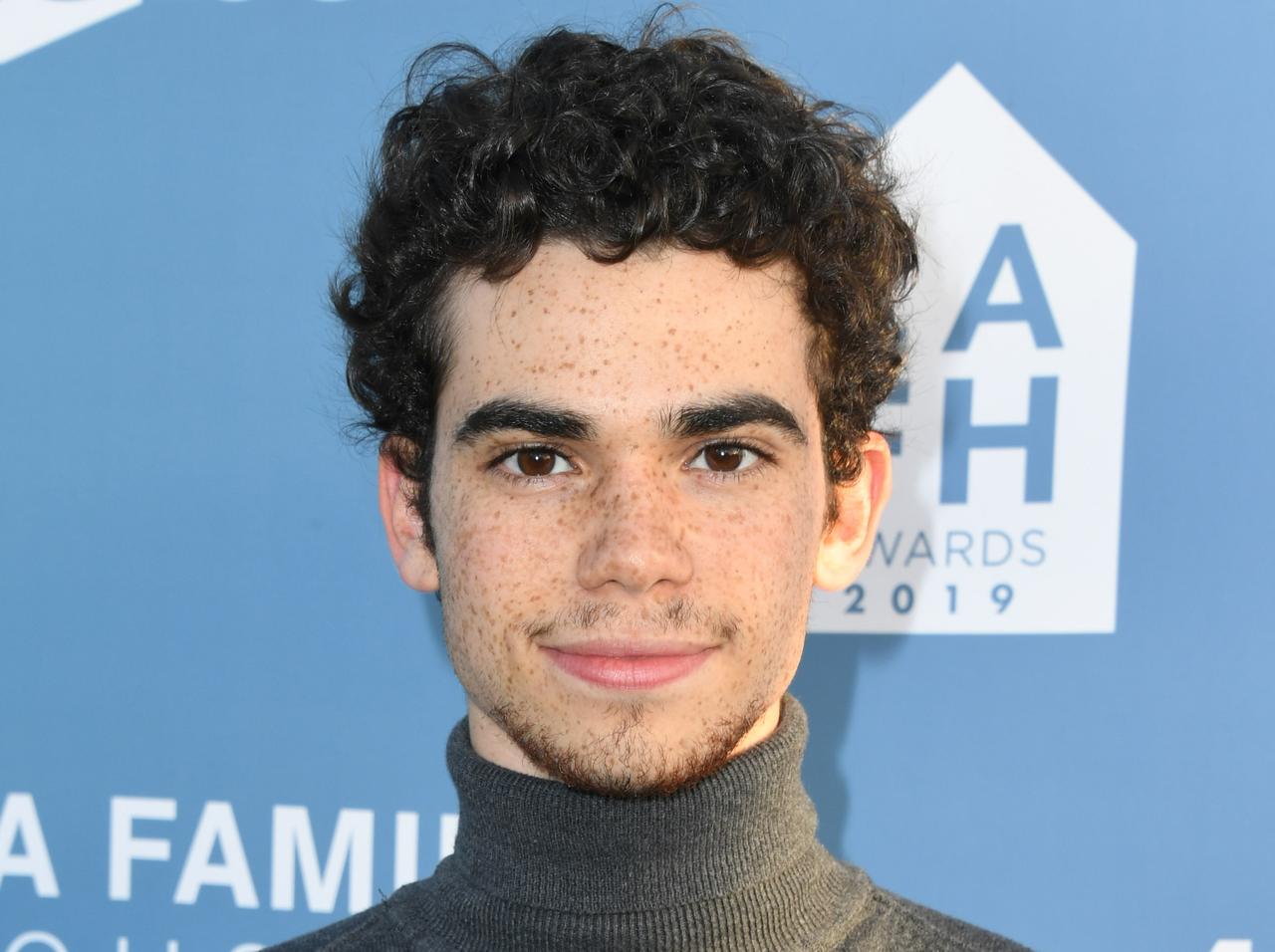 故キャメロン・ボイス、4本もの出演作が控えていた