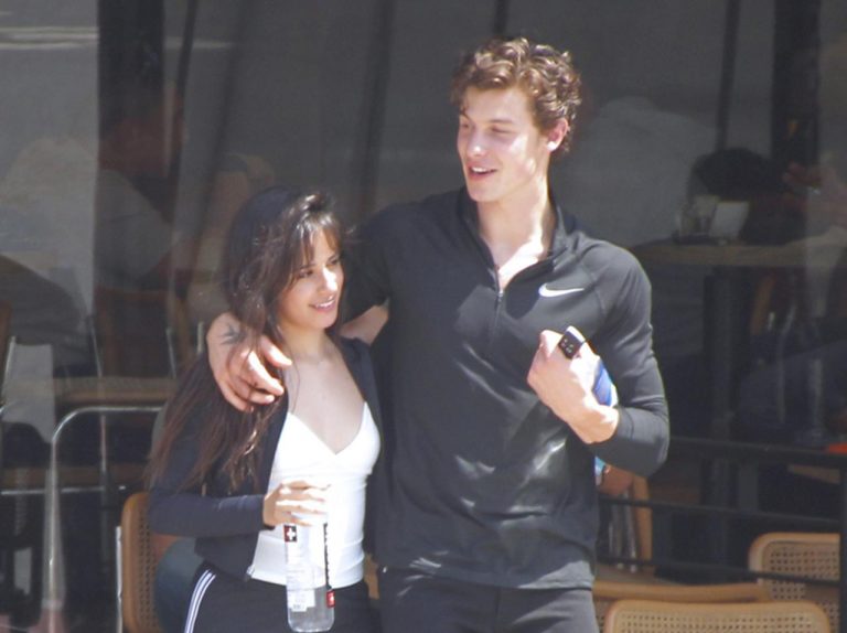 カミラ・カベロ、熱愛噂のショーン・メンデス宛てとみられる「ポエム」が深い