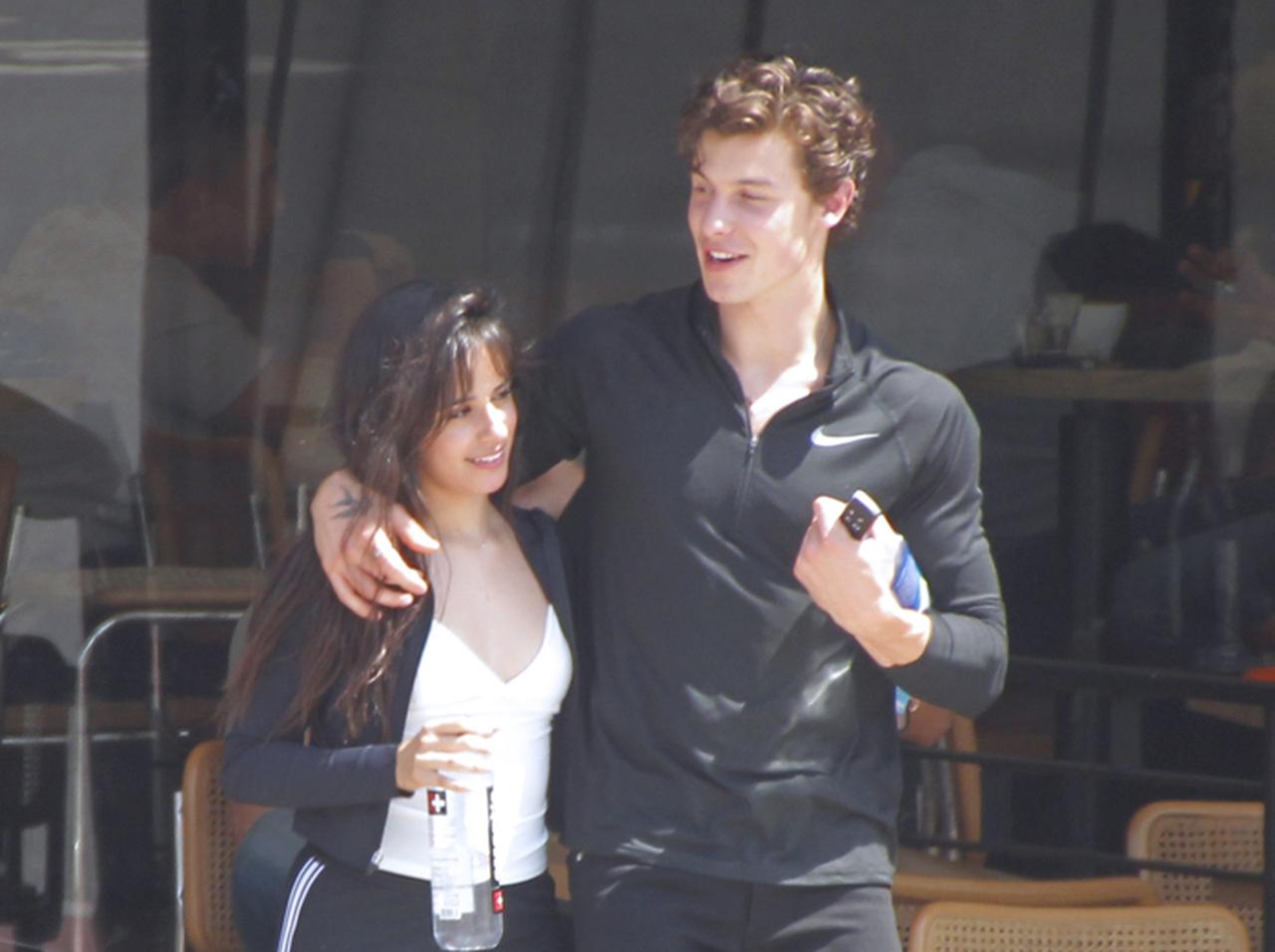 カミラ・カベロ、熱愛噂のショーン・メンデス宛てとみられる「ポエム」が深い