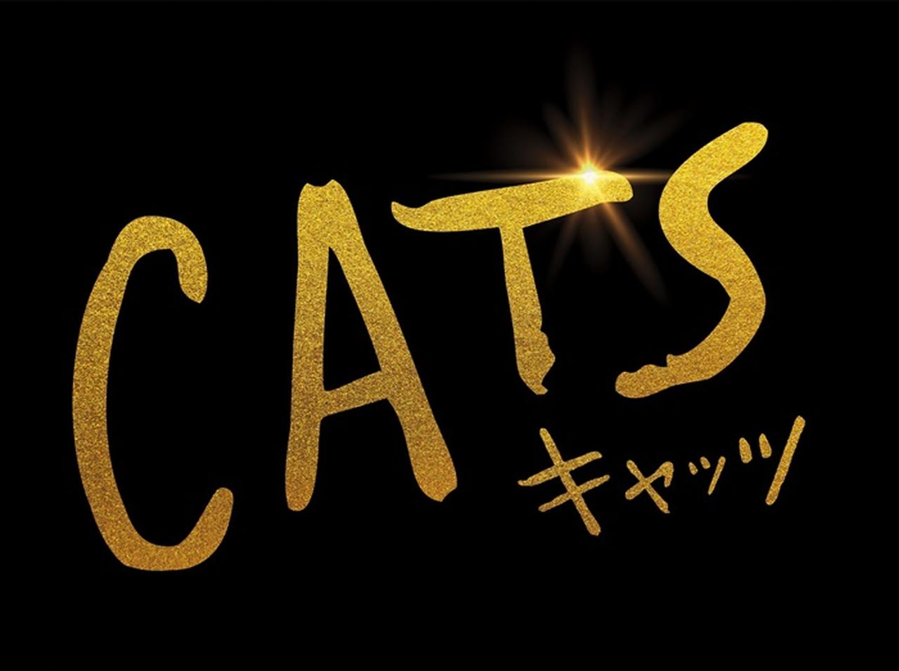 映画版『キャッツ』日本公開は2020年1月に決定