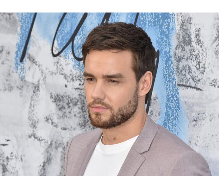 リアム・ペインの「完璧な全裸」にネット民が騒然