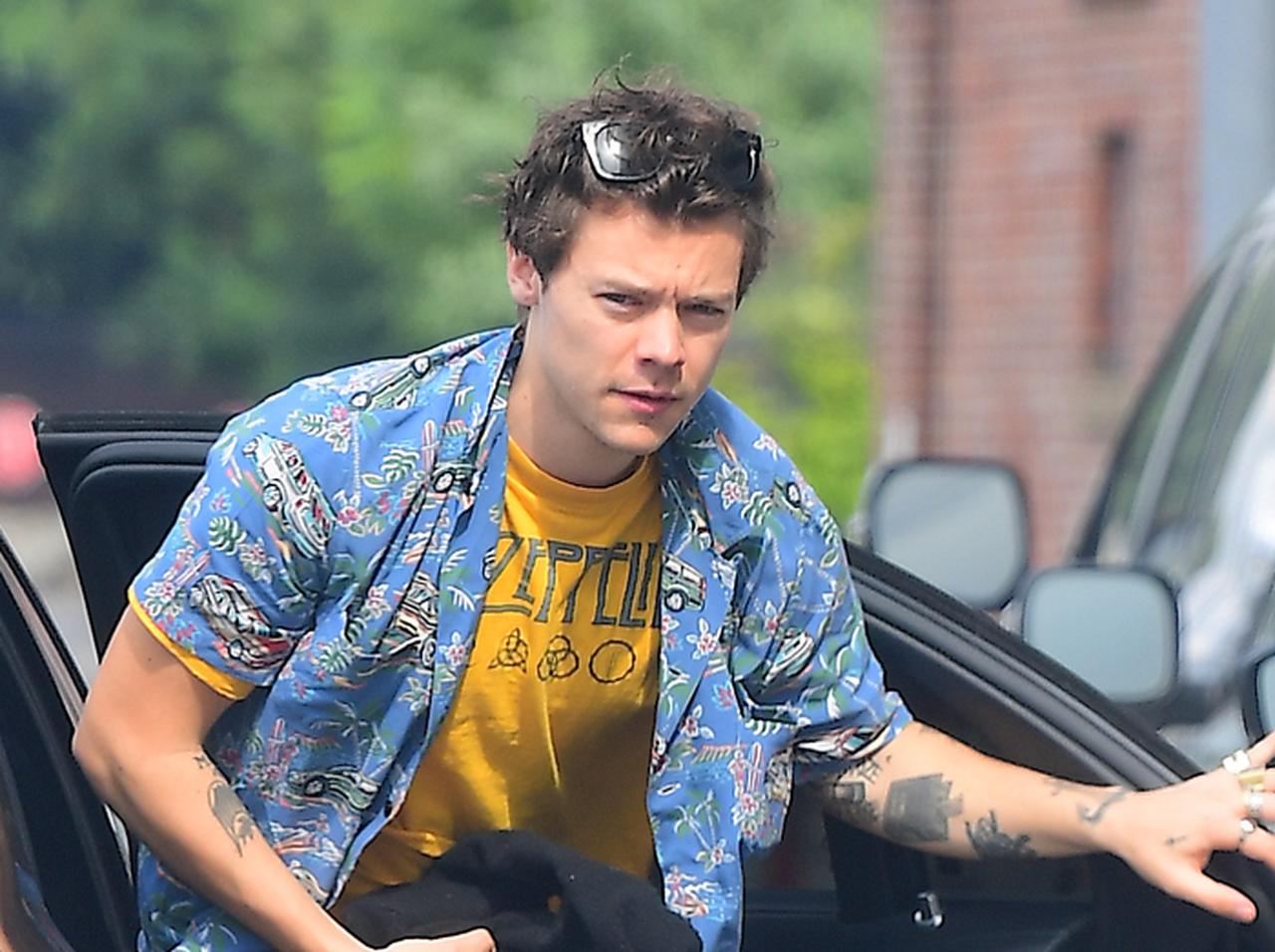 ハリー・スタイルズ、1D活動再開について「ハリー節」全開で意欲を示す