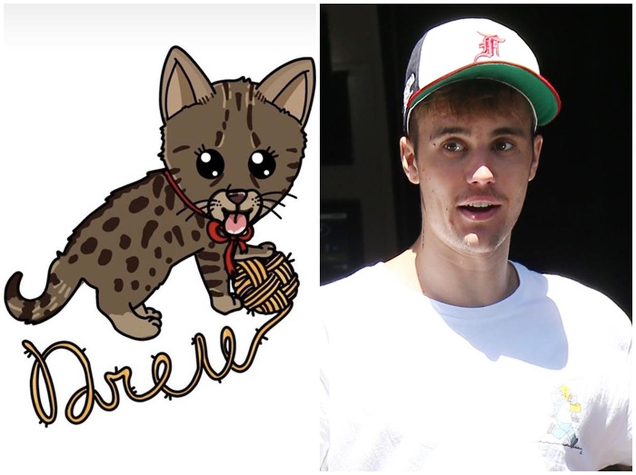 ジャスティン・ビーバー、飼い猫に「日本愛」が炸裂した名前をつける