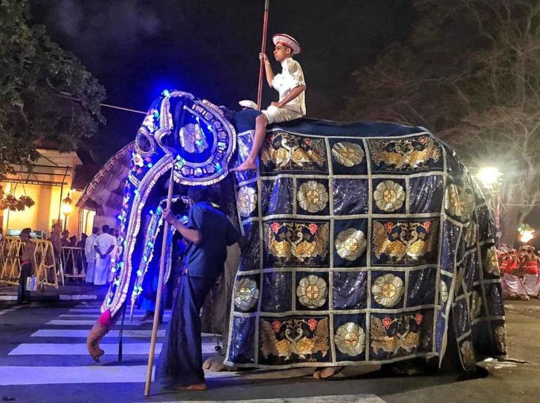 神聖なお祭りに登場した「ゾウ」、その衣装の下に隠された『秘密』に衝撃【画像アリ】