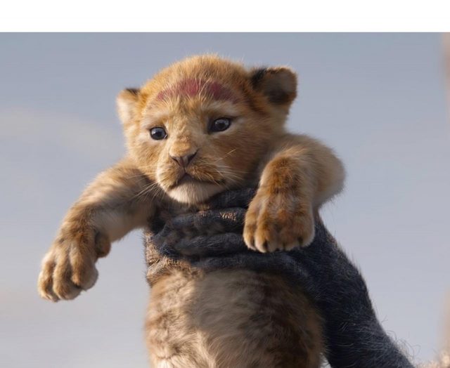 『ライオン・キング』、劇中に監督が粋なトリックを仕込んでいた