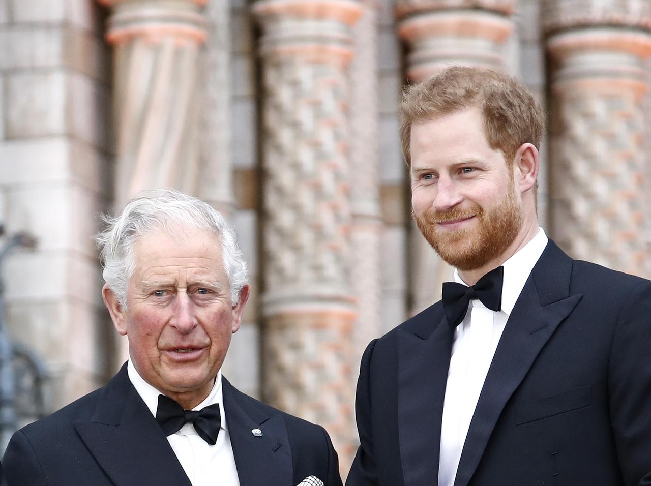 チャールズ皇太子“12歳”の写真、息子ヘンリー王子に激似だと話題に