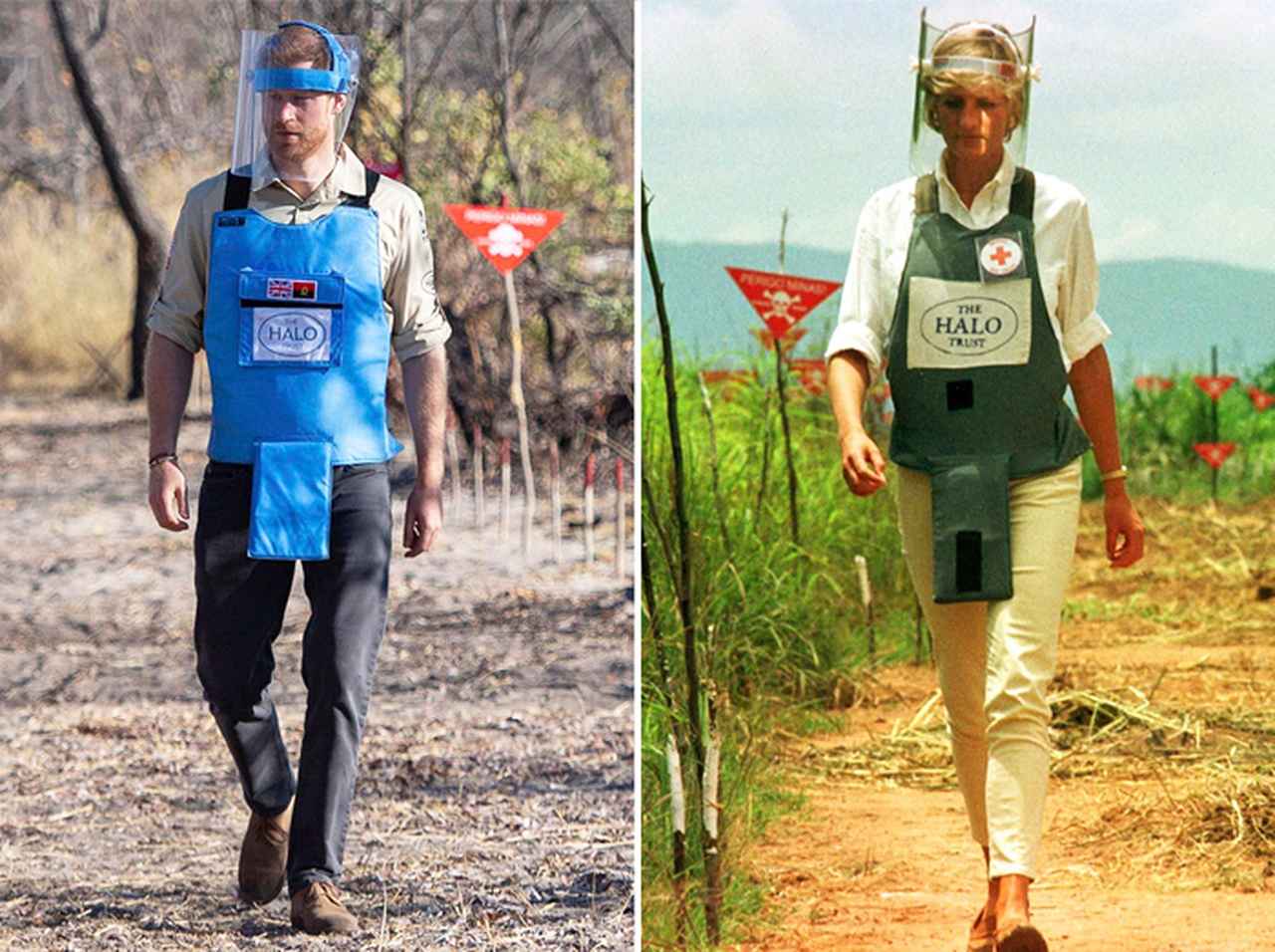 ヘンリー王子、亡き母ダイアナ妃の意志受け継ぎ「地雷原」を歩く