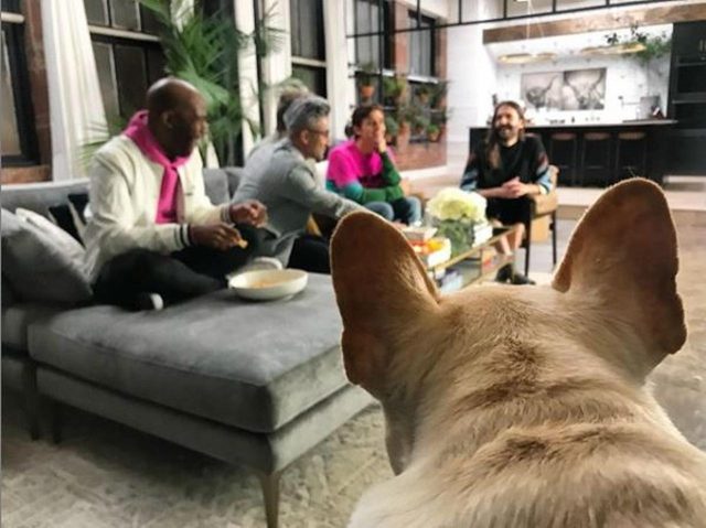 『クィア・アイ』のブルドッグ、ブルーリー突然の訃報にファブ5悲しみのコメント