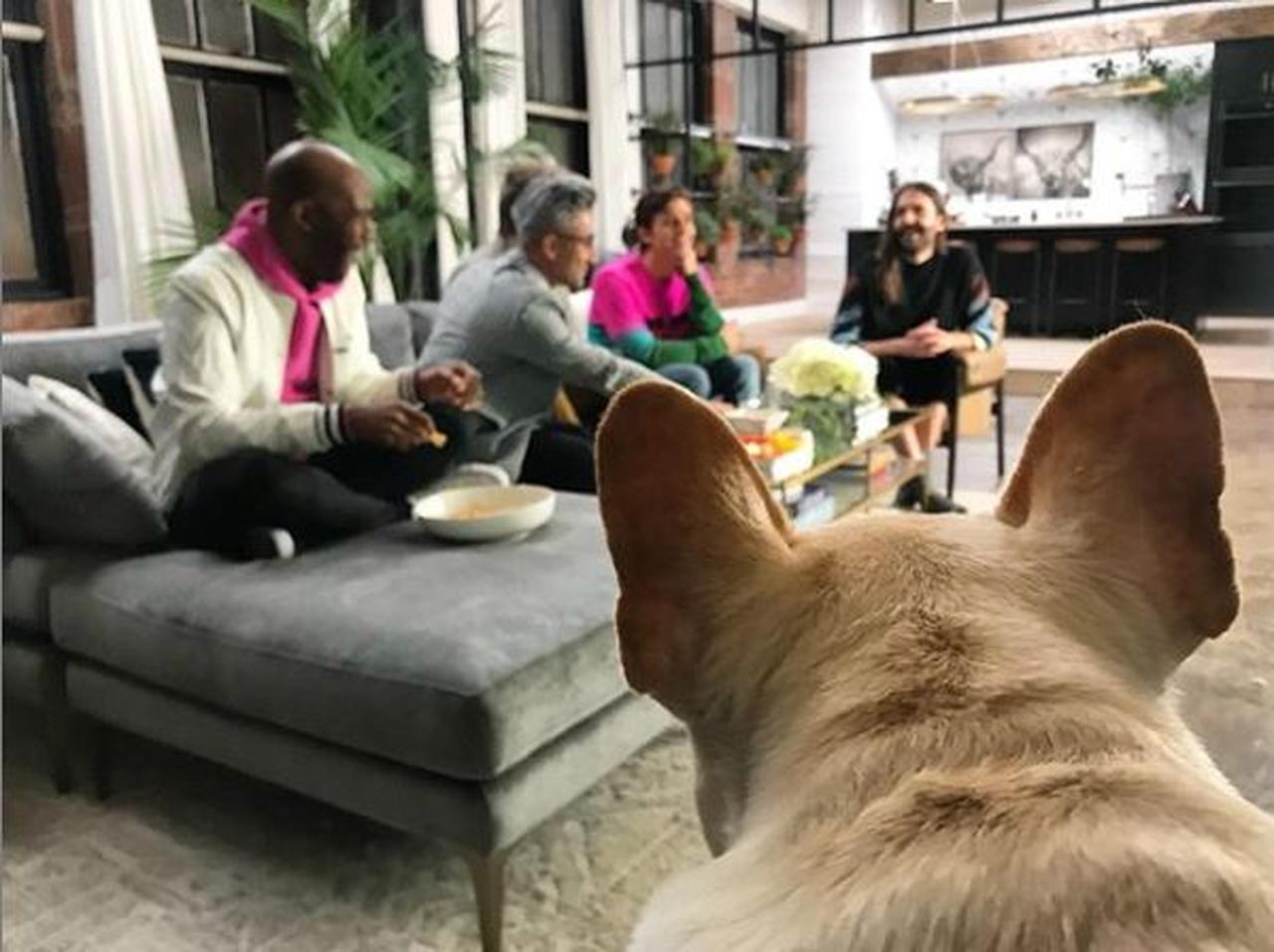 『クィア・アイ』のブルドッグ、ブルーリー突然の訃報にファブ5悲しみのコメント