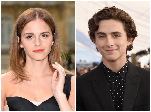 エマ・ワトソンやティモシー・シャラメ出演『若草物語』のポスターが「美」