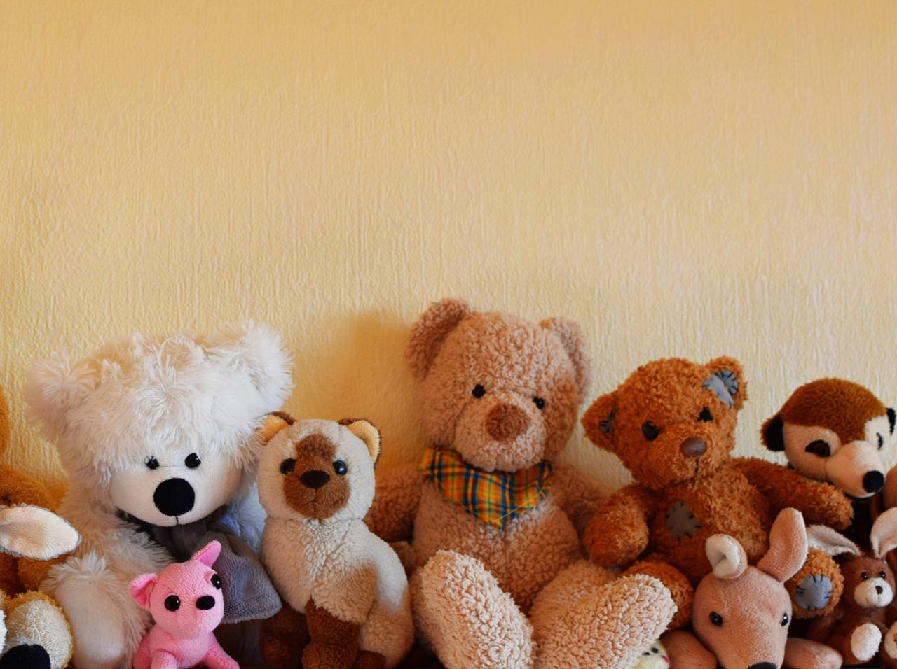 ディズニー映画の“人形”と「性行為」をした20歳男性、逮捕される