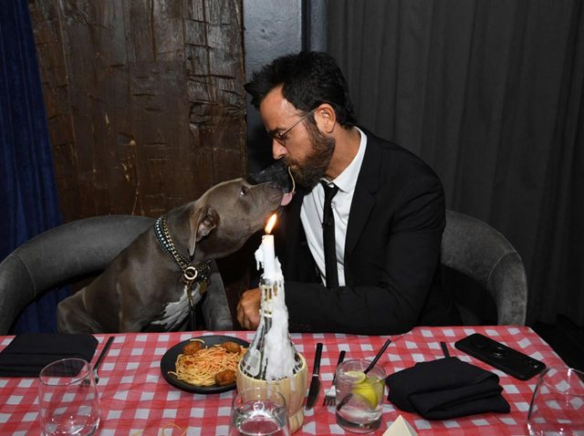 『わんわん物語』ジャスティン・セロー、愛犬「くま」と名シーン再現する姿がさすが