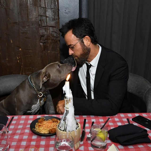 『わんわん物語』ジャスティン・セロー、愛犬「くま」と名シーン再現する姿がさすが