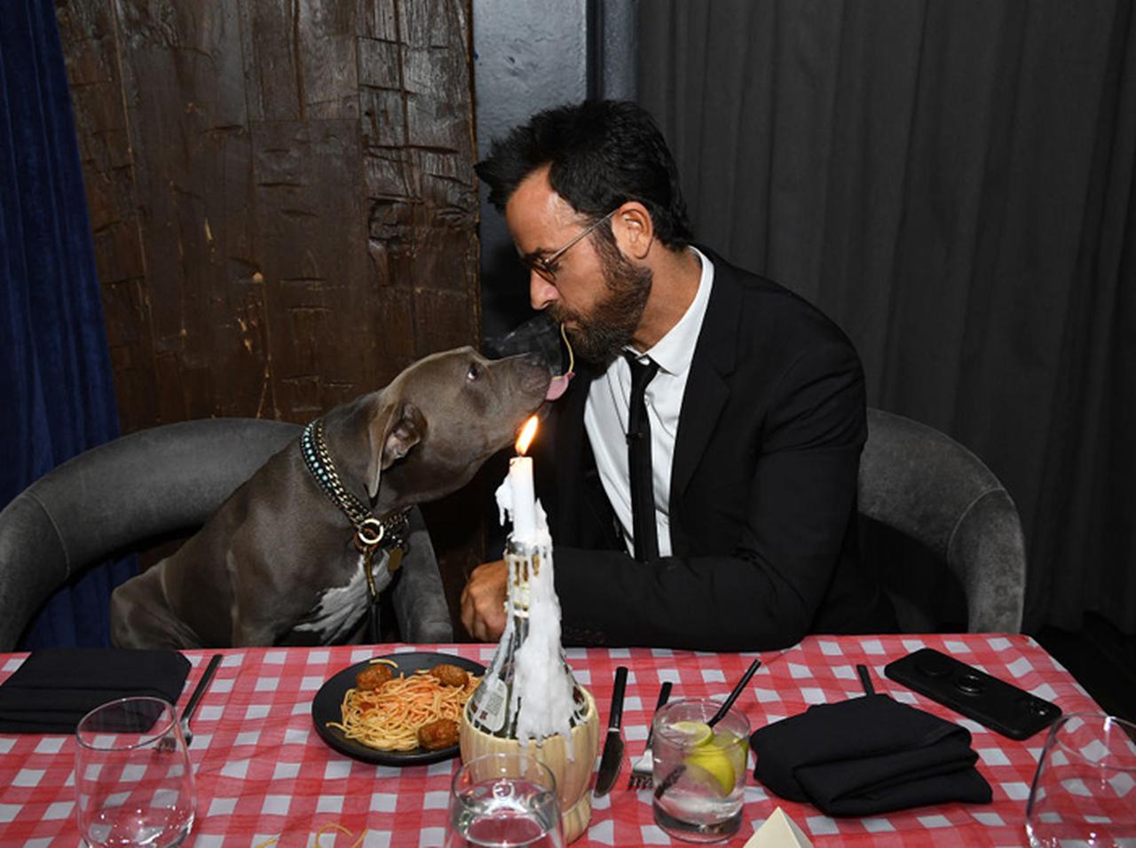 『わんわん物語』ジャスティン・セロー、愛犬「くま」と名シーン再現する姿がさすが