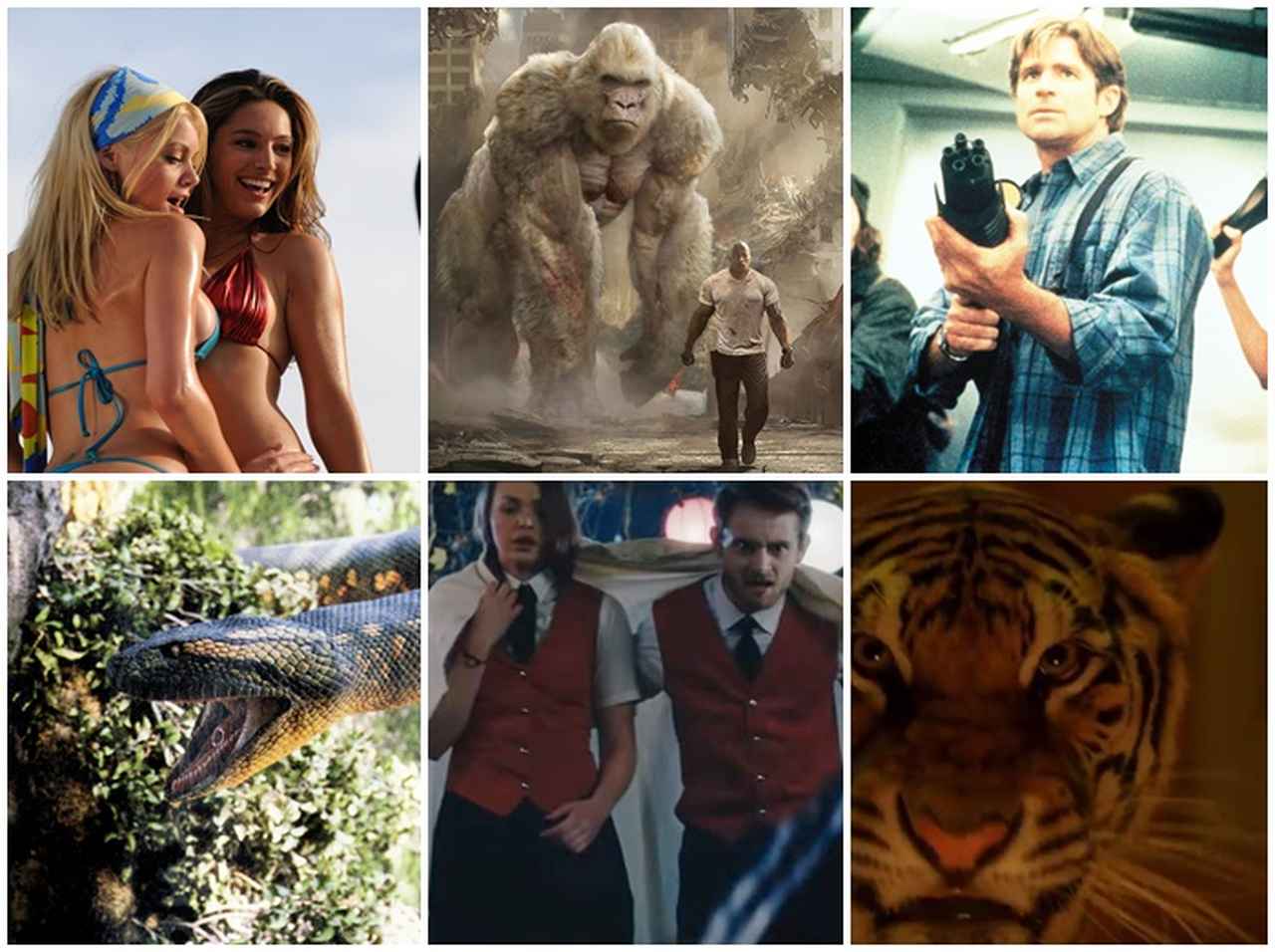 『クロール -凶暴領域-』公開！猛獣に襲われるアニマル・パニック映画6選