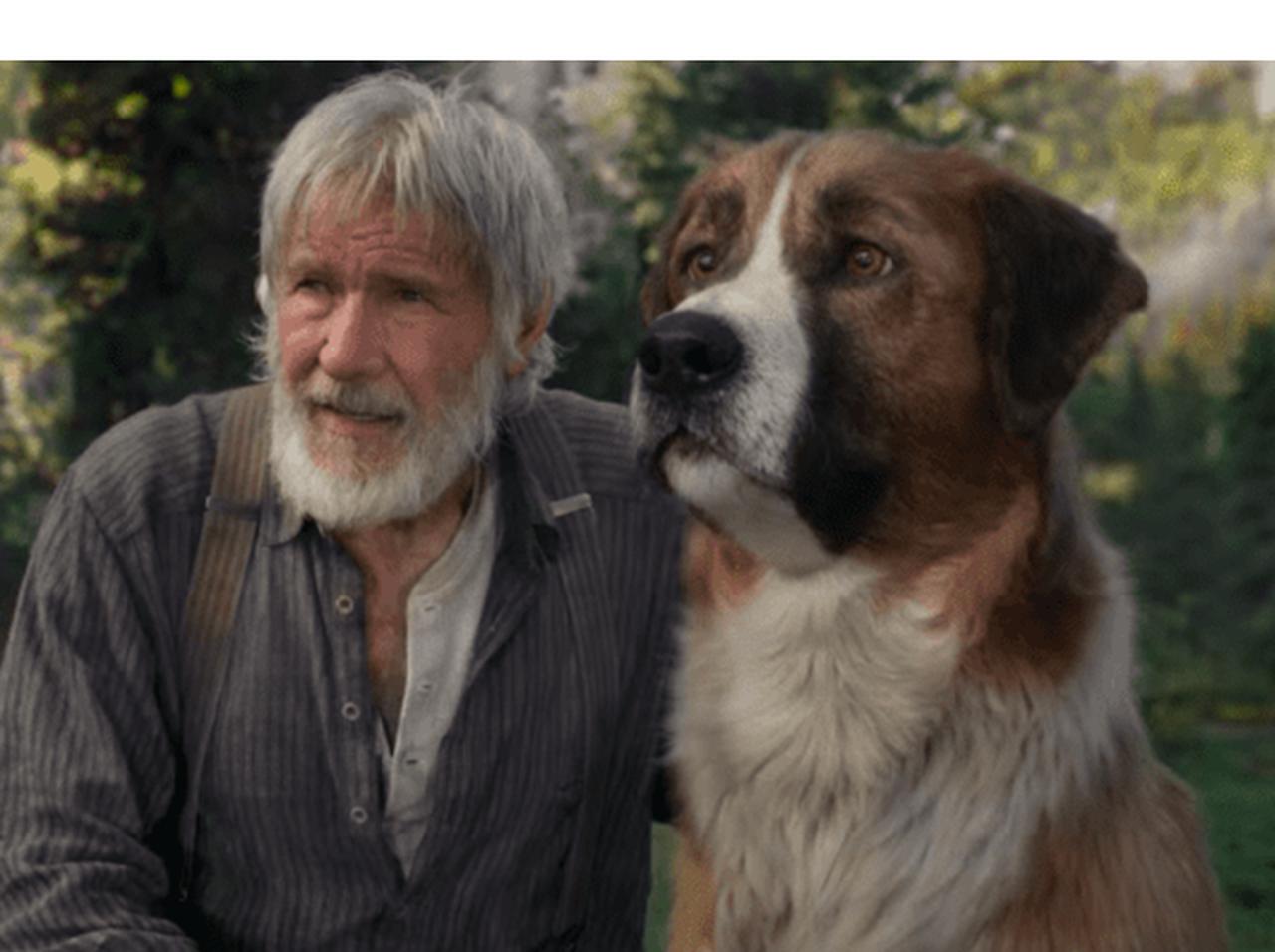 ハリソン・フォードと犬が、大自然を冒険する映画の予告が公開