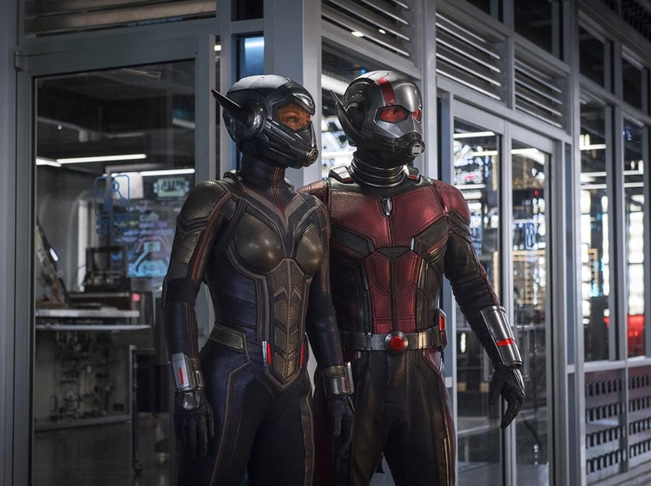 『アントマン』ポール・ラッド、“ワスプ”の仮装をした9歳娘の前でまさかの仮装