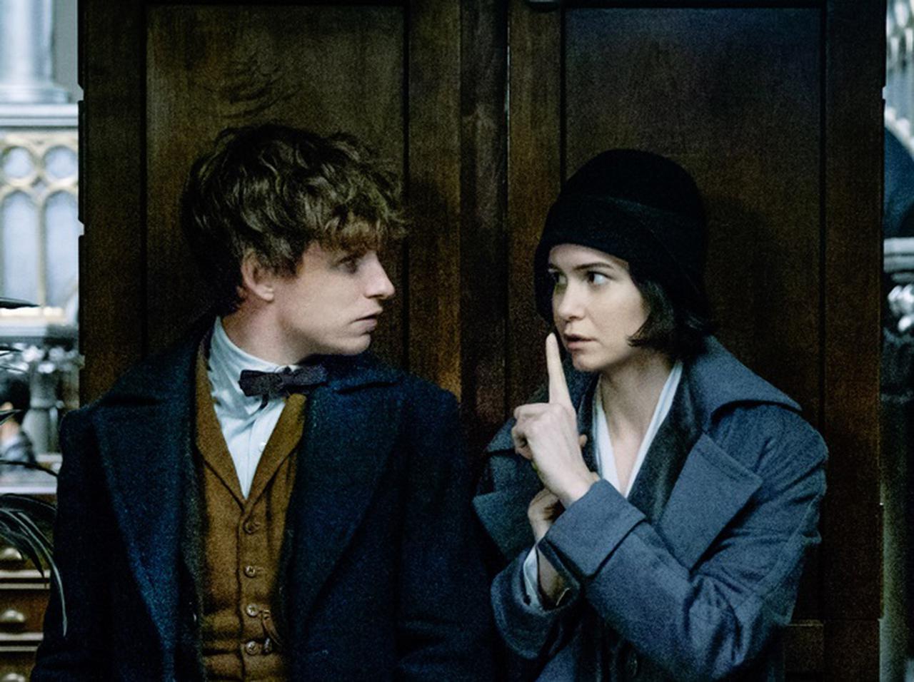 『ハリー・ポッター』スピンオフ映画『ファンタビ3』の撮影場所がブラジルに決定!