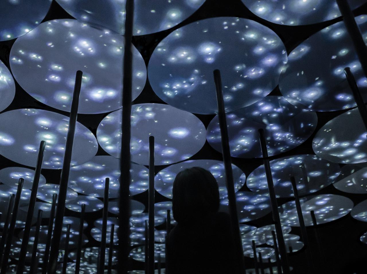 チームラボボーダレス、季節に合わせて変化した冬限定の作品を公開中