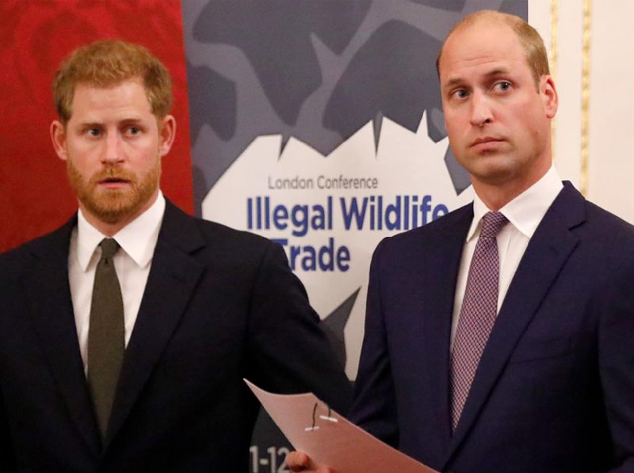 ヘンリー王子とウィリアム王子が共同声明、「王室内いじめ」報道受け