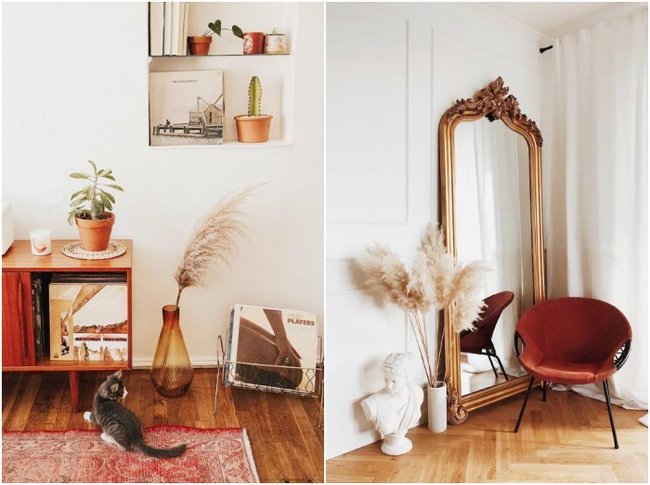 “枯れ感”がおしゃれ!観葉植物の新トレンドは「パンパスグラス」