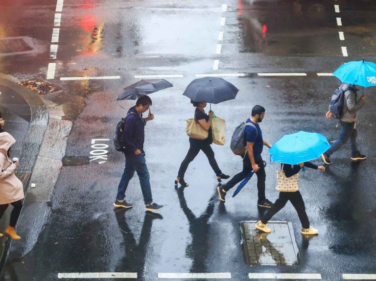 オーストラリアでめぐみの雨!しかし森林火災の影響は消火後も続く