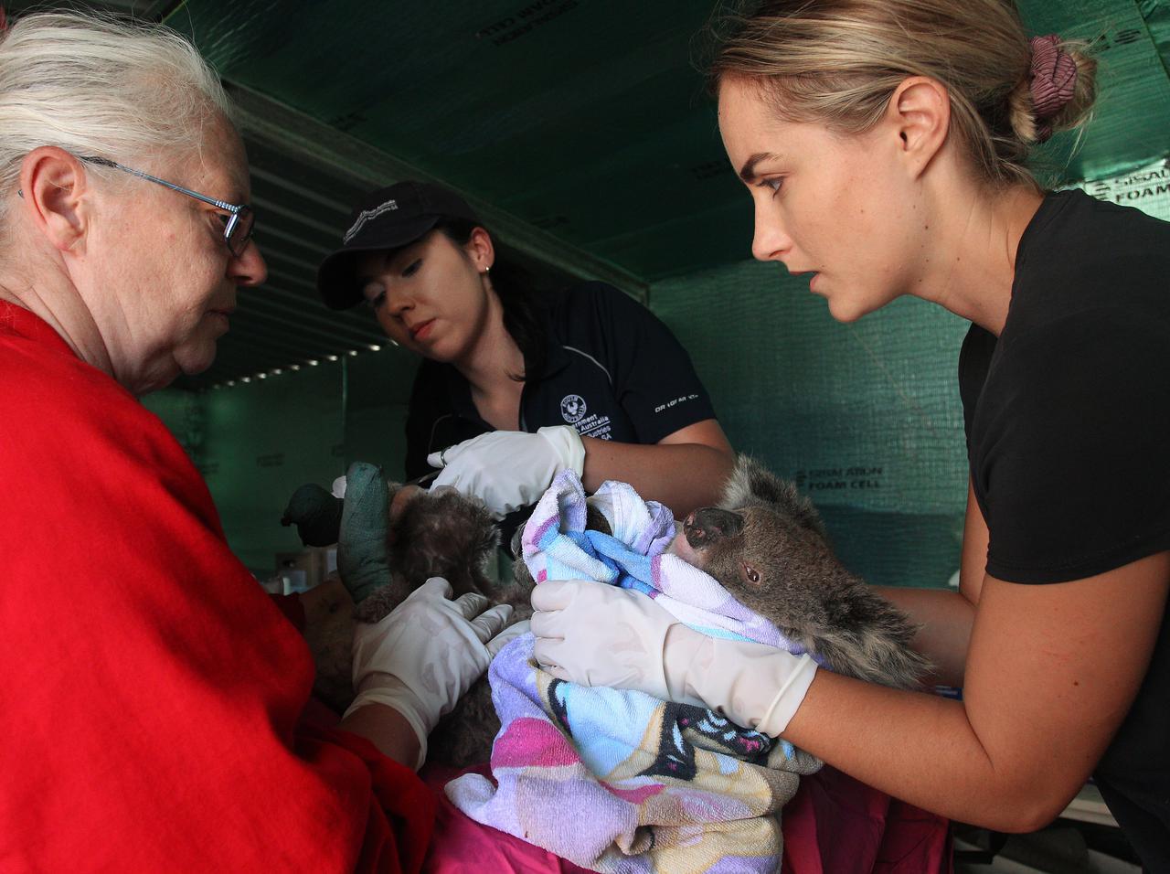 オーストラリア山火事の「猛威」を分からせる12枚の写真