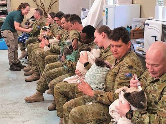 休日にコアラを抱っこして看病！オーストラリア軍兵士たちの姿に癒される