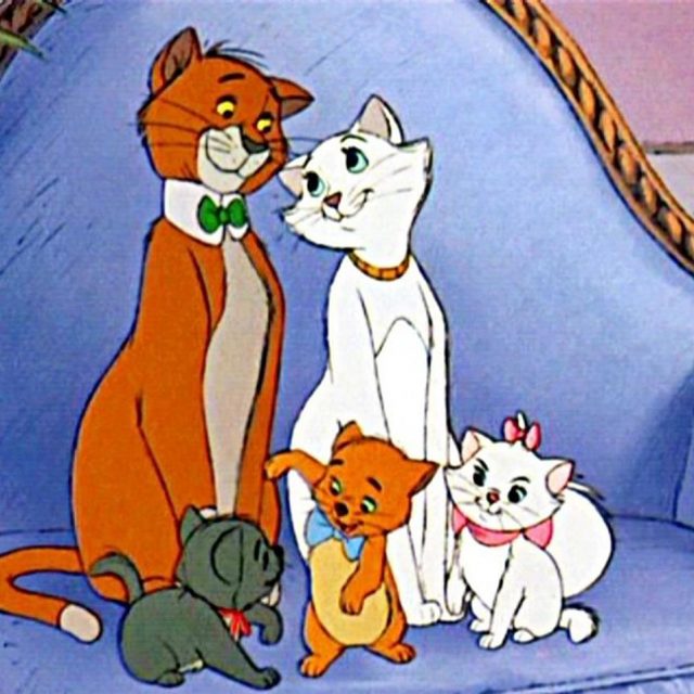 リアル『おしゃれキャット』？白猫ママからソックリな子猫たちが誕生