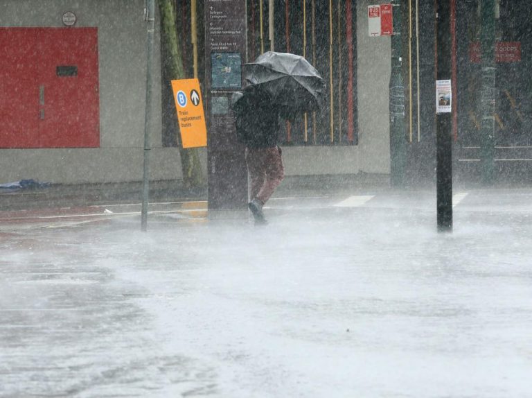 カンガルーが水の中を駆け回る、森林火災オーストラリアで大豪雨!洪水被害も深刻化