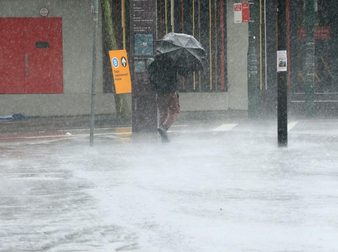 カンガルーが水の中を駆け回る、森林火災オーストラリアで大豪雨！洪水被害も深刻化