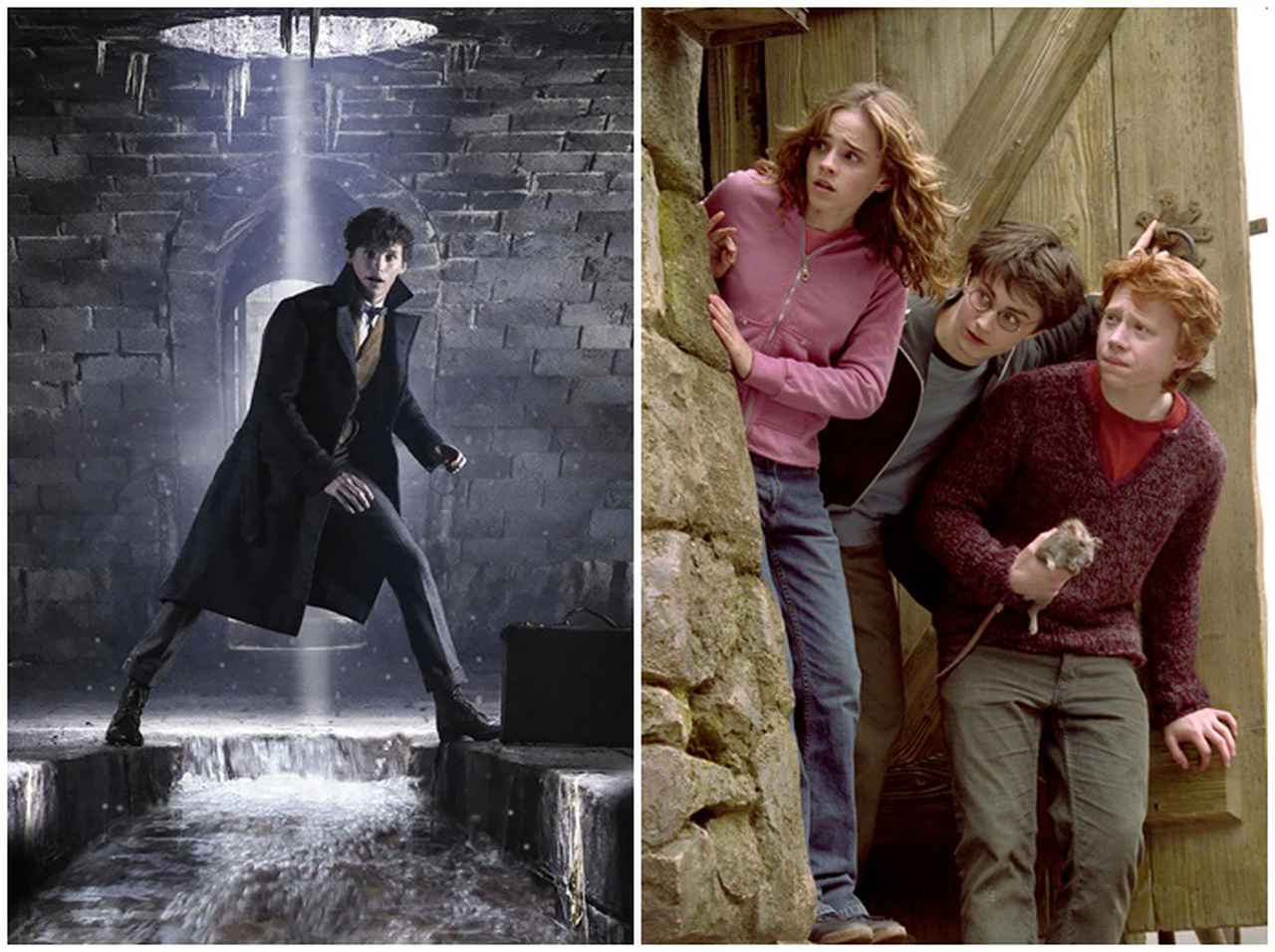 『ハリー・ポッター』の劇中に96歳の『ファンタビ』キャラが映っていた