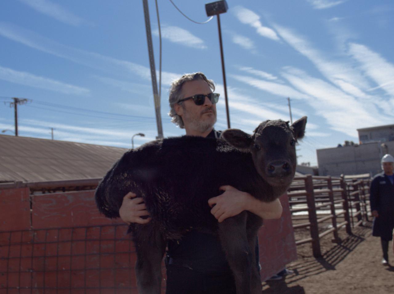 『ジョーカー』ホアキン・フェニックス、牛の親子を保護する