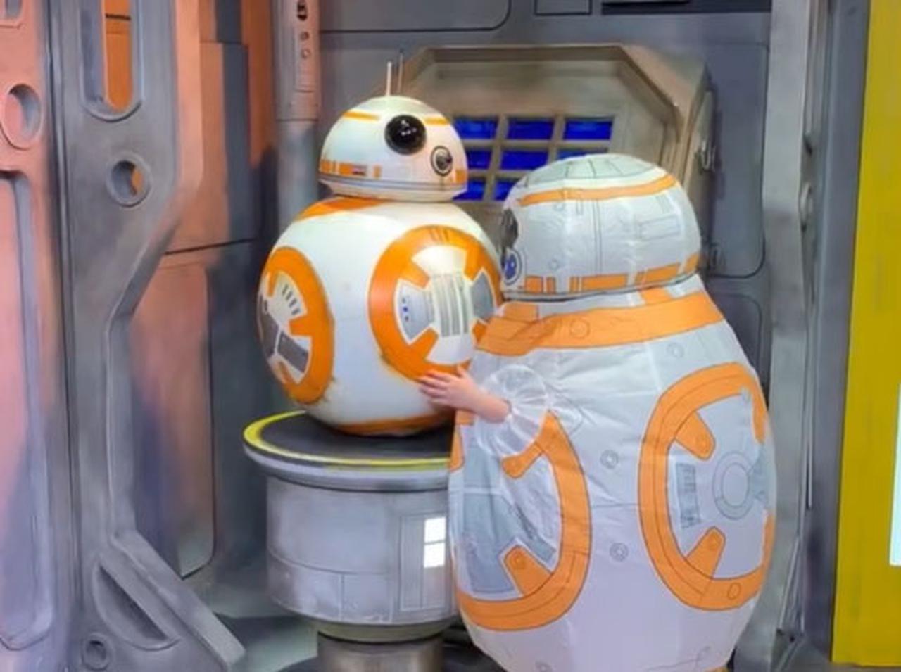 『スター・ウォーズ』BB-8ファンの4歳、BB-8になってBB-8に会いにディズニーへ行く【動画アリ】