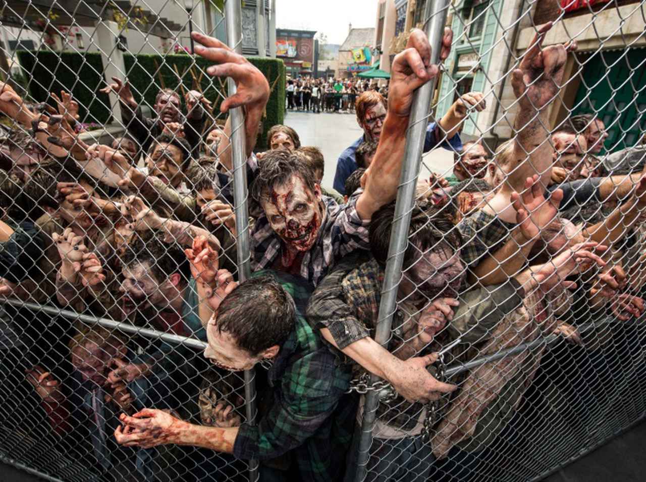 ユニバの『ウォーキング・デッド』アトラクション、ゾンビ役が客からの「ある行為」に悲鳴