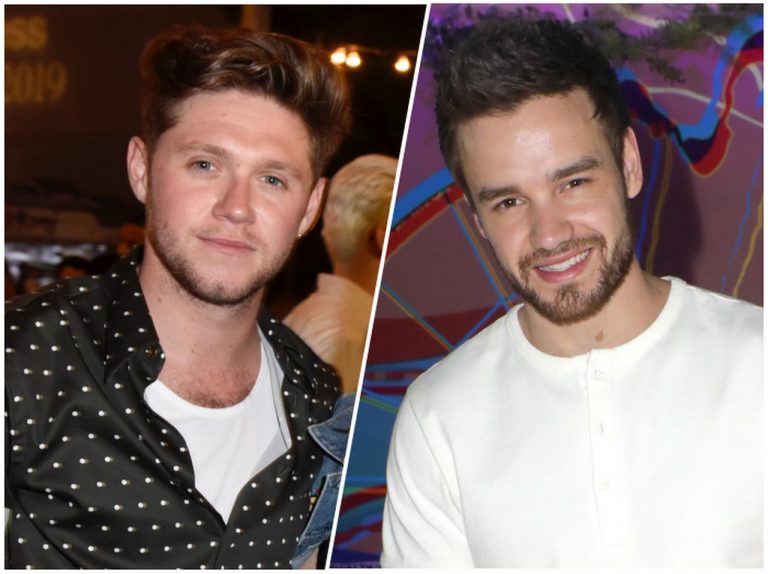 ナイル・ホーランとリアム・ペイン、テレビ電話に参加してくれない1Dメンバーをイジり倒す