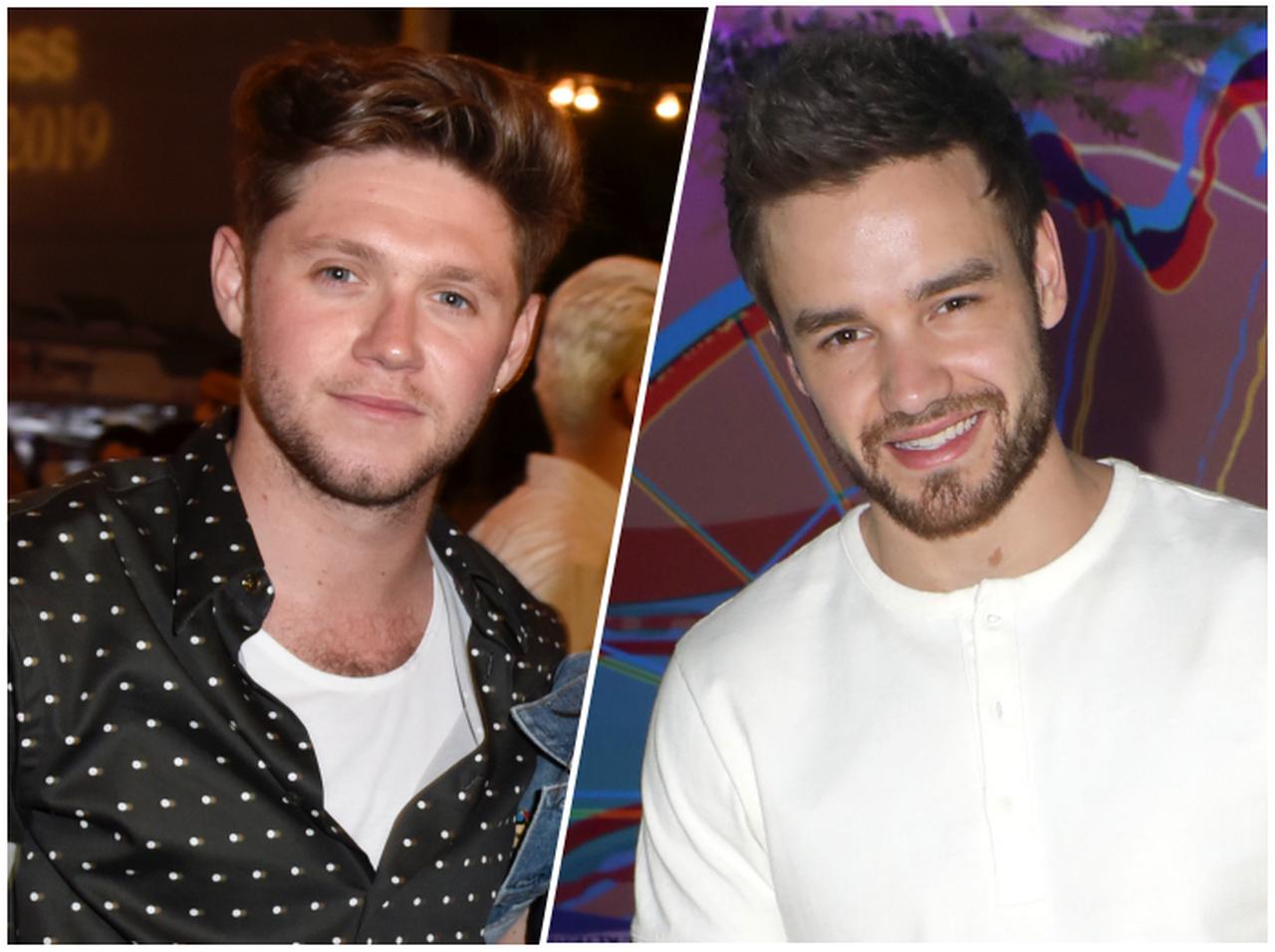 ナイル・ホーランとリアム・ペイン、テレビ電話に参加してくれない1Dメンバーをイジり倒す